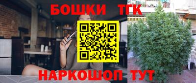 дмт Пенза