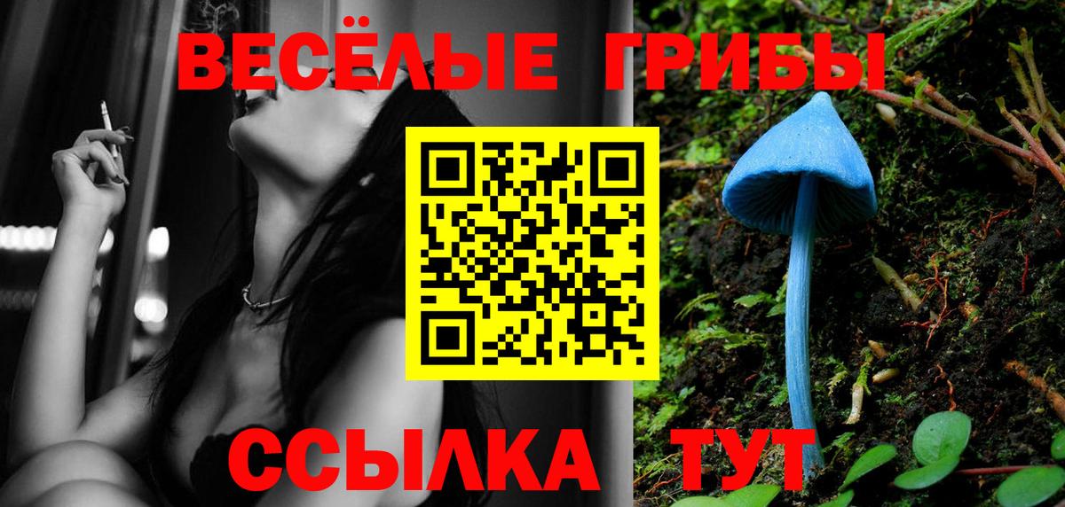 где продают наркотики  Галлюциногенные грибы Cubensis  Вход с VPN  Новодвинск 