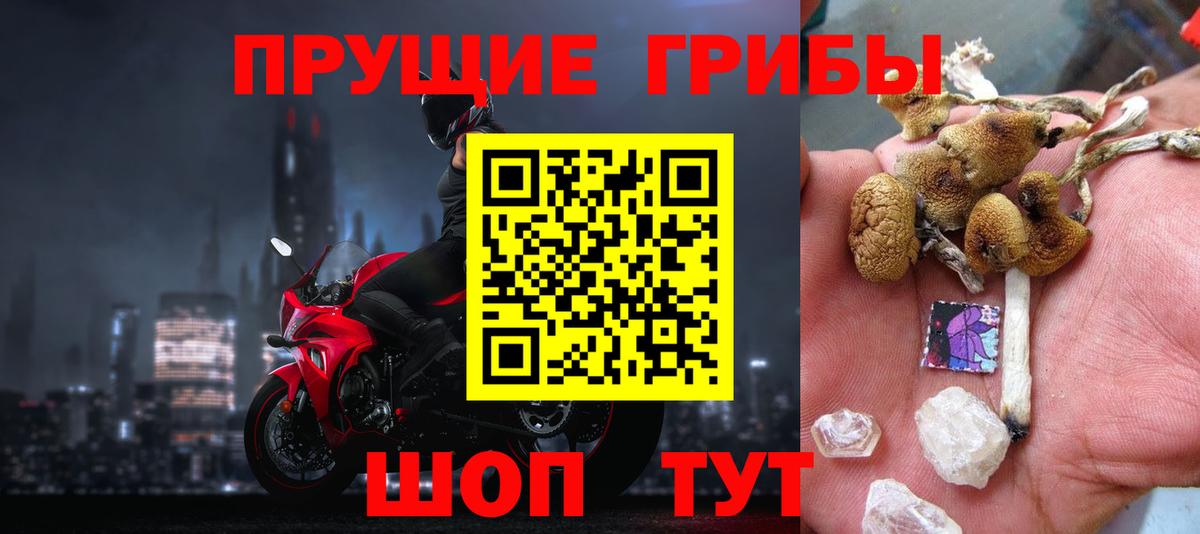 Псилоцибиновые грибы GOLDEN TEACHER Новодвинск